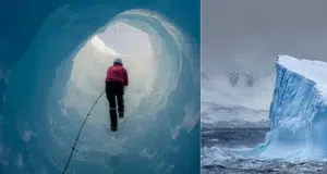 ¿Por qué la Antártida se congelo cuando la Tierra tenia temperaturas más altas? Un estudio lo explica