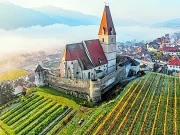 Cinco rutas del vino en Europa para descubrir el auténtico sabor del ‘terroir’