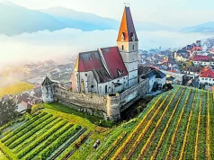 Cinco rutas del vino en Europa para descubrir el auténtico sabor del ‘terroir’