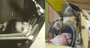 Muere Martha Lillard, la última paciente de polio de EE.UU. que usaba un pulmón de acero