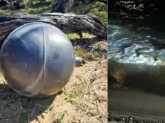 Misteriosas esferas han aparecido en el desierto de Australia: científicos ya tienen una teoría