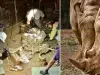 Así fue el hallazgo de dos esqueletos completos de rinoceronte de hace 200.000 años en una cueva de España