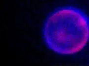 Crean la primera célula sintética desde cero capaz de crecer, dividirse y evolucionar: imita las funciones esenciales de la vida