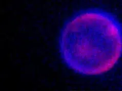 Crean la primera célula sintética desde cero capaz de crecer, dividirse y evolucionar: imita las funciones esenciales de la vida
