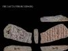 Hace solo unos milenios, la diversidad lingüística era mucho mayor que la actual