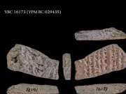 Hace solo unos milenios, la diversidad lingüística era mucho mayor que la actual