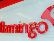 Almacenes Flamingo podrá reorganizar deudas y seguir operando
