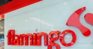 Almacenes Flamingo podrá reorganizar deudas y seguir operando