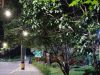 Reporte feliz desde Aguacatala, por alumbrado público