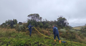CAR frena intervención ilegal en páramo de Rabanal para cuidar fuente hídrica