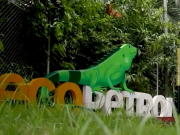 Por mantenimiento de SPEC, Ecopetrol activa plan para respaldar gas