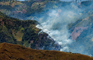 ¿Qué tan preparada esta Colombia ante el riesgo inminente de incendios?