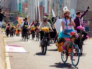 Conozca los atractivos que tendrá la Feria de las Flores 2026