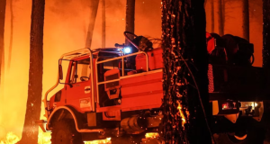 Incendios en Francia dejan 200.000 evacuados y 98.000 hectáreas quemadas