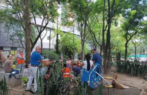 Darán una manito al Parque Lineal de Ciudad del Río