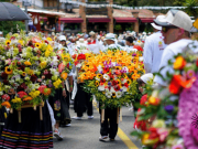 No hay Feria de las Flores sin…