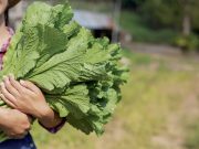 Universo Alimentario 2026: el sector agroalimentario se reunirá en El Poblado