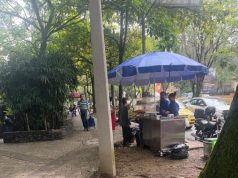 Muchas ventas callejeras, con pipetas de gas, en calles de El Poblado
