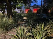 En Astorga preocupa intervención proyectada para una zona verde