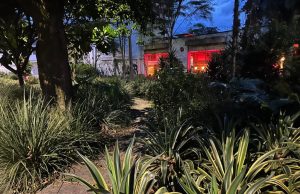 En Astorga preocupa intervención proyectada para una zona verde