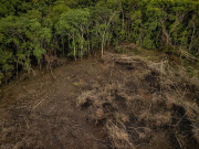 Urgen acciones contra la deforestación en la Amazonía