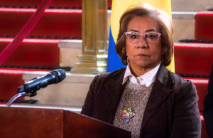 Canciller advierte que suspender modelo de pasaportes sería ilegal