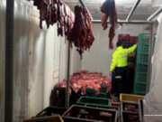 Cae red dedicada a comercialización de carne equina en Santander