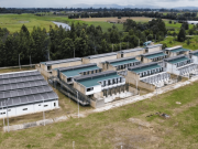 Bogotá tendrá proyecto de protección y bienestar animal