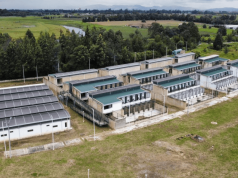 Bogotá tendrá proyecto de protección y bienestar animal