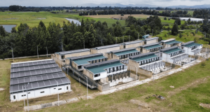 Bogotá tendrá proyecto de protección y bienestar animal