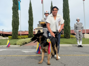 Dimatea, heroína de cuatro patas, inicia su retiro tras servir a Colombia