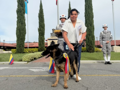 Dimatea, heroína de cuatro patas, inicia su retiro tras servir a Colombia