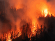 Incendio en Nariño amenaza la Reserva Forestal del Pacífico