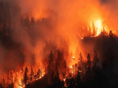 Incendio en Nariño amenaza la Reserva Forestal del Pacífico
