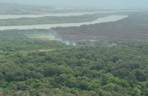 Santander pidió apoyo aéreo al Gobierno para combatir incendio forestal