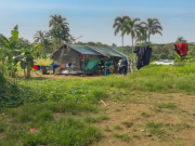 Proteger vida de indígenas del Guaviare ordenó Corte Constitucional