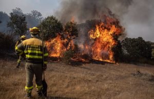 En Antioquia, recompensas por causantes de incendios forestales