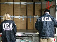 Un nuevo enfoque para entender las cadenas de valor del narcotráfico