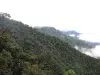 Estudio del Servicio Geológico alerta por riesgo potencial de contaminación asociado al depósito de cobre y molibdeno de Mocoa