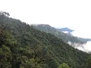 Estudio del Servicio Geológico alerta por riesgo potencial de contaminación asociado al depósito de cobre y molibdeno de Mocoa