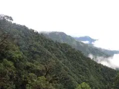 Estudio del Servicio Geológico alerta por riesgo potencial de contaminación asociado al depósito de cobre y molibdeno de Mocoa