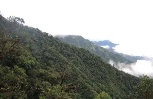 Estudio del Servicio Geológico alerta por riesgo potencial de contaminación asociado al depósito de cobre y molibdeno de Mocoa