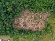 Balance del Gobierno Petro: ¿cómo queda el sector ambiental y cuáles son los retos para la próxima administración?