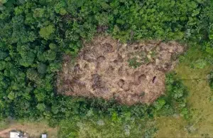 Balance del Gobierno Petro: ¿cómo queda el sector ambiental y cuáles son los retos para la próxima administración?