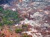 La deforestación en Colombia aumentó 5,2% en 2025; pero el Gobierno celebra que cifras están por debajo de lo fijado en el Plan de Desarrollo