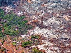 La deforestación en Colombia aumentó 5,2% en 2025; pero el Gobierno celebra que cifras están por debajo de lo fijado en el Plan de Desarrollo