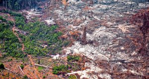 La deforestación en Colombia aumentó 5,2% en 2025; pero el Gobierno celebra que cifras están por debajo de lo fijado en el Plan de Desarrollo