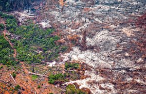 La deforestación en Colombia aumentó 5,2% en 2025; pero el Gobierno celebra que cifras están por debajo de lo fijado en el Plan de Desarrollo