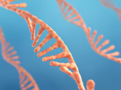 Hallazgo científico impensable: descubren nuevas formas de vida dentro del cuerpo humano