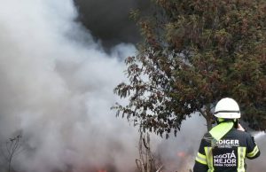 La mitad del país está en alerta por riesgo de incendios forestales: 528 municipios tienen algún nivel de amenaza